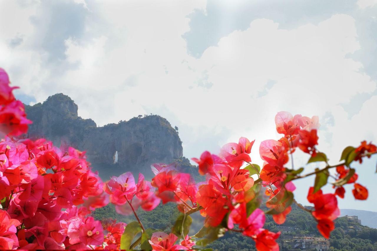 Positano Holidays Luaran gambar